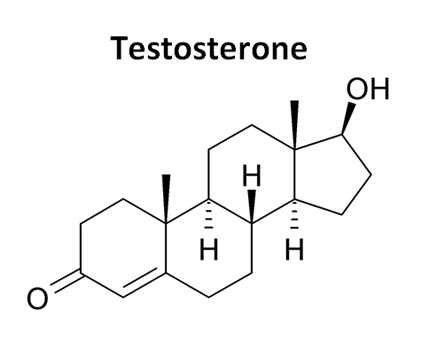 testosteron.png