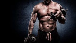 Bulk ve Cut