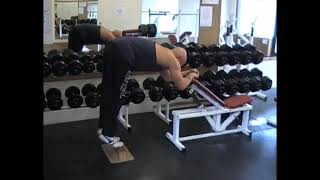 Donkey Calf Raise