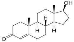 Testosteron Nasıl Artırılır