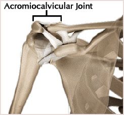 acromioclavicular-joint