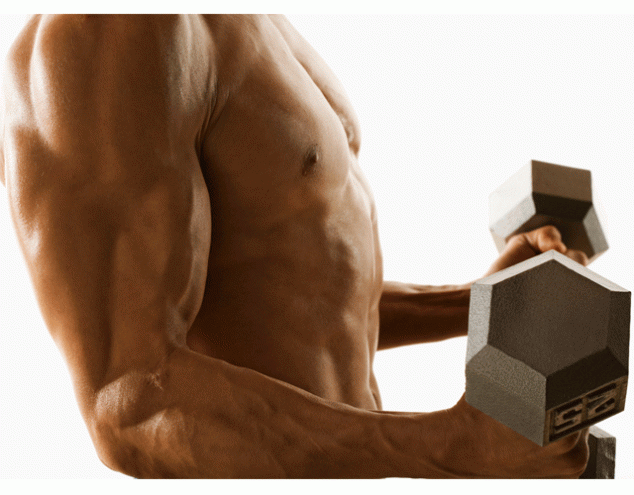 massbuilding_main