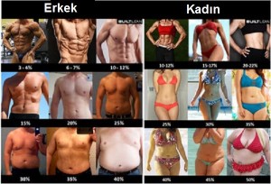 Vücut Yağ Oranı