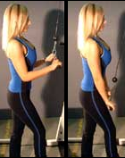 Triceps Pushdown