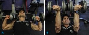 Twisting Press
