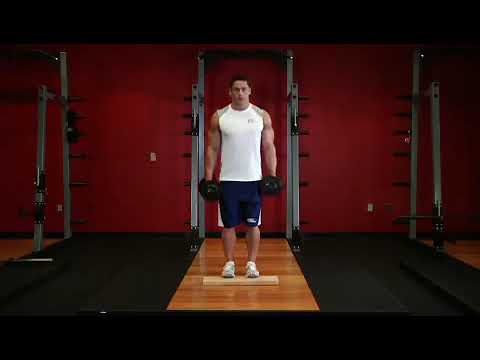 Ayakta Dambılla Parmak Ucunda Yükselme ⁄ Standing Dumbbell Calf Raises Exercise ~ bodytr com